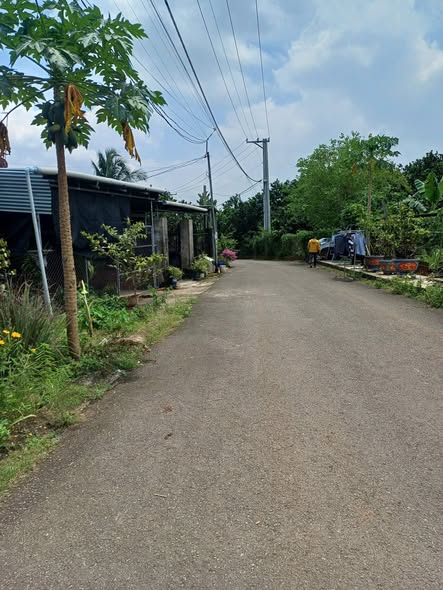 Đất thổ cư Chính Chủ Hưng Lộc, Dầu Giây 145m² giá chỉ 700 triệu - Đường nhựa sạch sẽ!