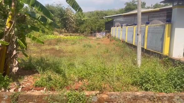 Đất nền Thanh Phú, Bình Long 250m² giá 400 triệu - Đường thông, dân cư đông đúc!