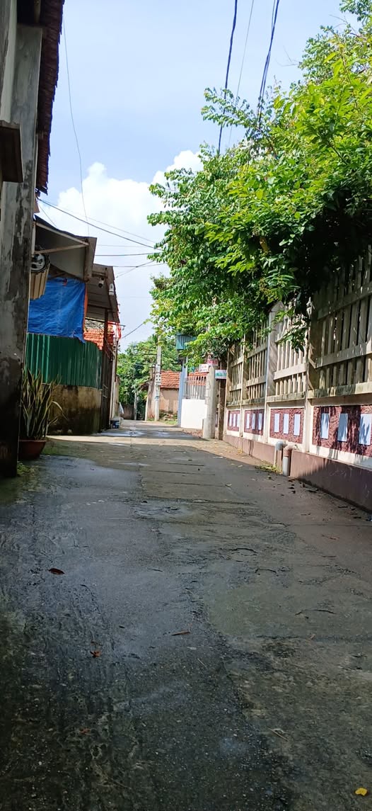 Đất thổ cư 120m² Xã Phúc Hòa chỉ 2x tỷ - Sổ đỏ chính chủ, vị trí đắc địa!