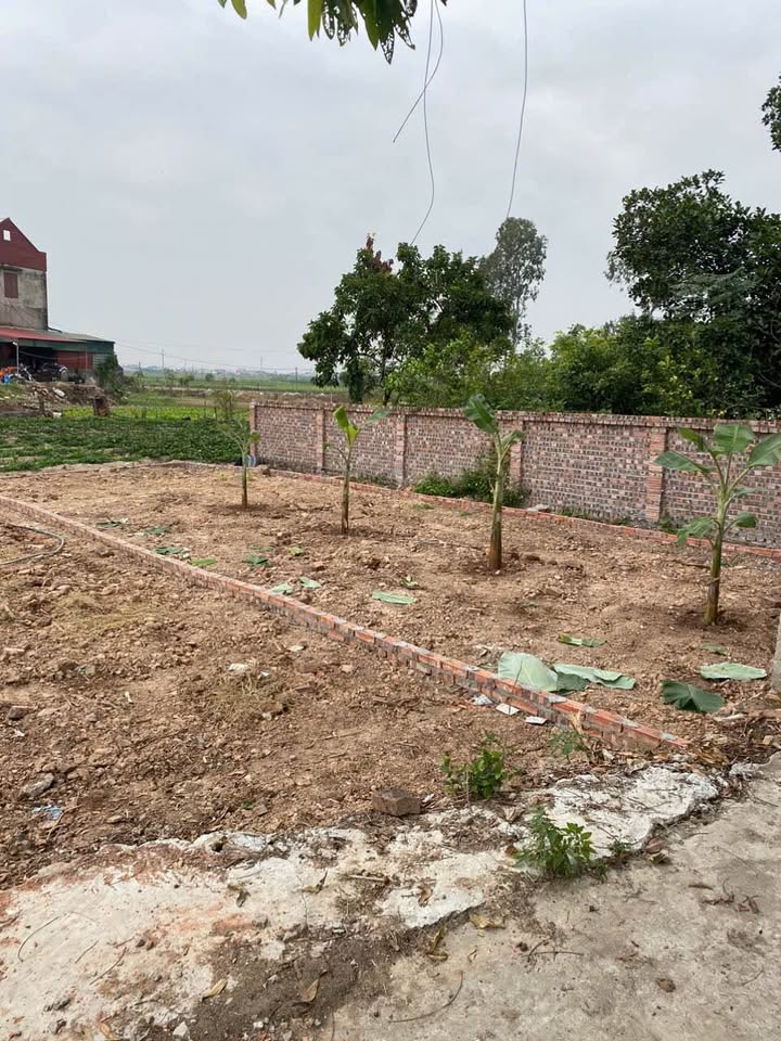 Đất nền tại Xã Trung Chính, Huyện Lương Tài, 92m² giá 1.3 tỷ - Cơ hội đầu tư hấp dẫn!