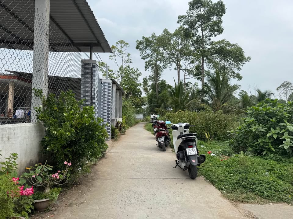 Đất thổ cư Xã Nguyệt Hóa 200m² giá 499 triệu - Gần bệnh viện mới!