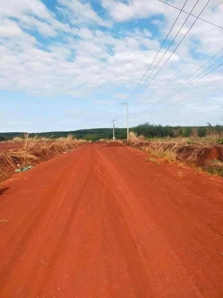 Đất nền Khu phố 10, Phước Bình, 6000m² - Giá thỏa thuận hấp dẫn!