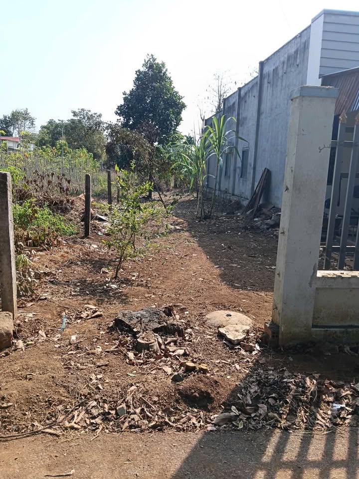 Đất nền đường nhựa Huyện Châu Đức 205m² giá 770 triệu - Cơ hội đầu tư tuyệt vời!