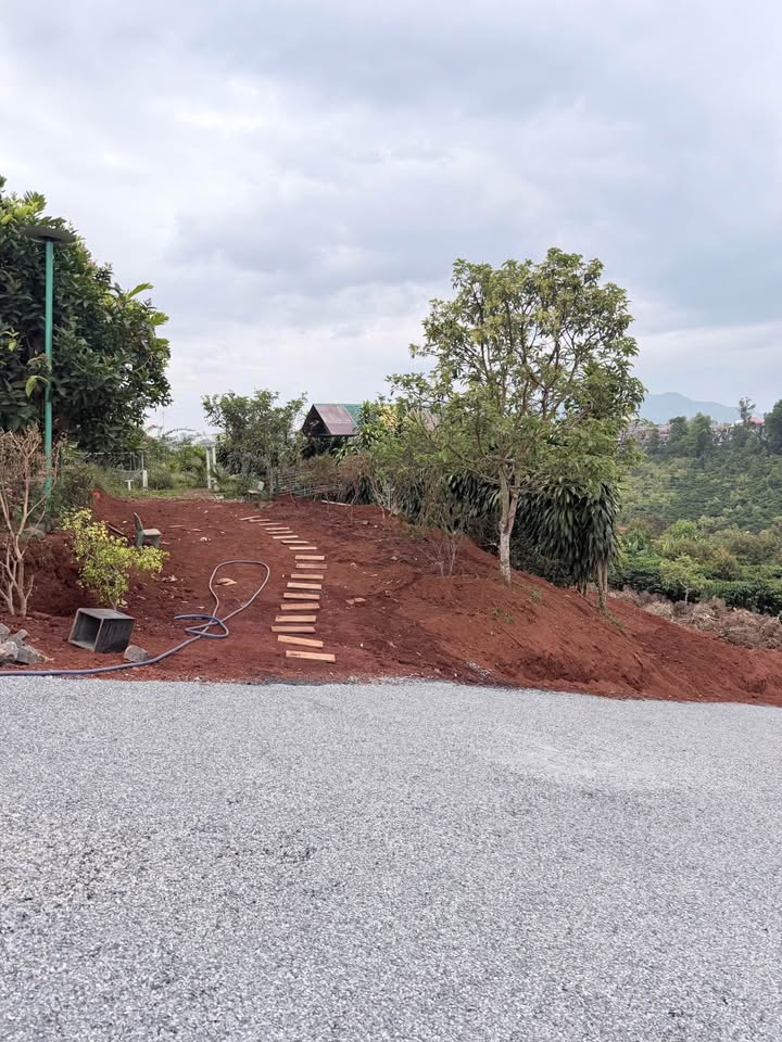 Đất Hẻm Nguyễn Trãi, Bảo Lộc 1007m² giá 2.5 tỷ - Vị trí thuận lợi cho đầu tư!