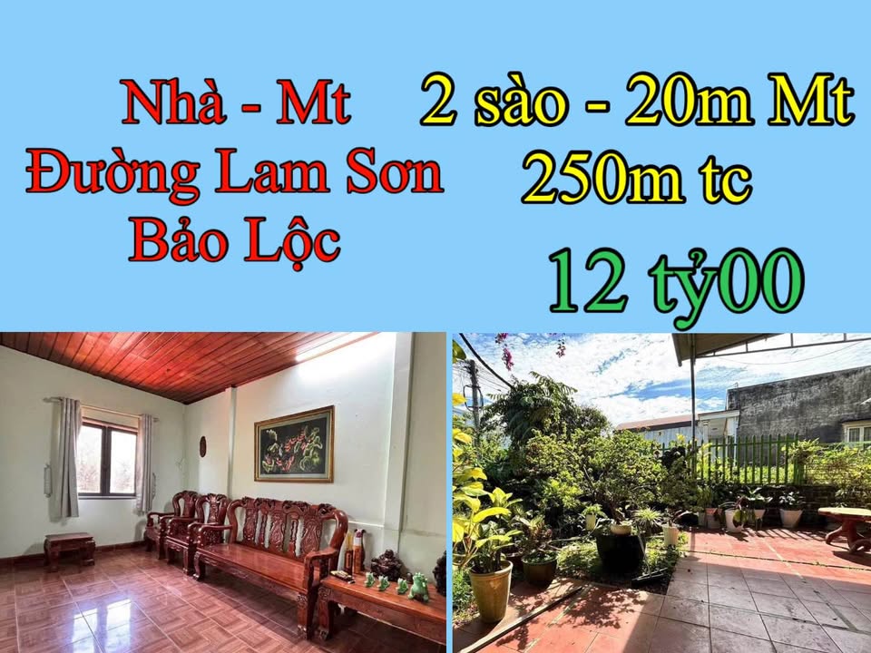 Nhà mặt tiền Lam Sơn, Bảo Lộc 1952m² giá 12 tỷ - Vị trí đắc địa, sân vườn rộng rãi!