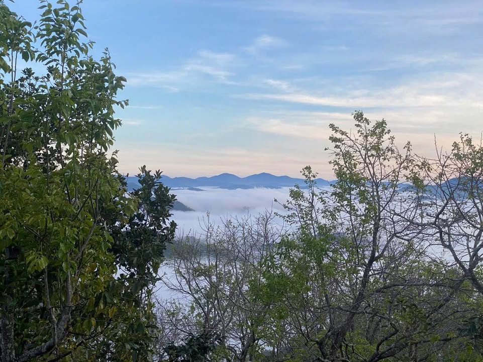 Lô đất săn mây Trạm Hành Đà Lạt 1486m² giá 3 tỷ - View đẹp mê hồn!