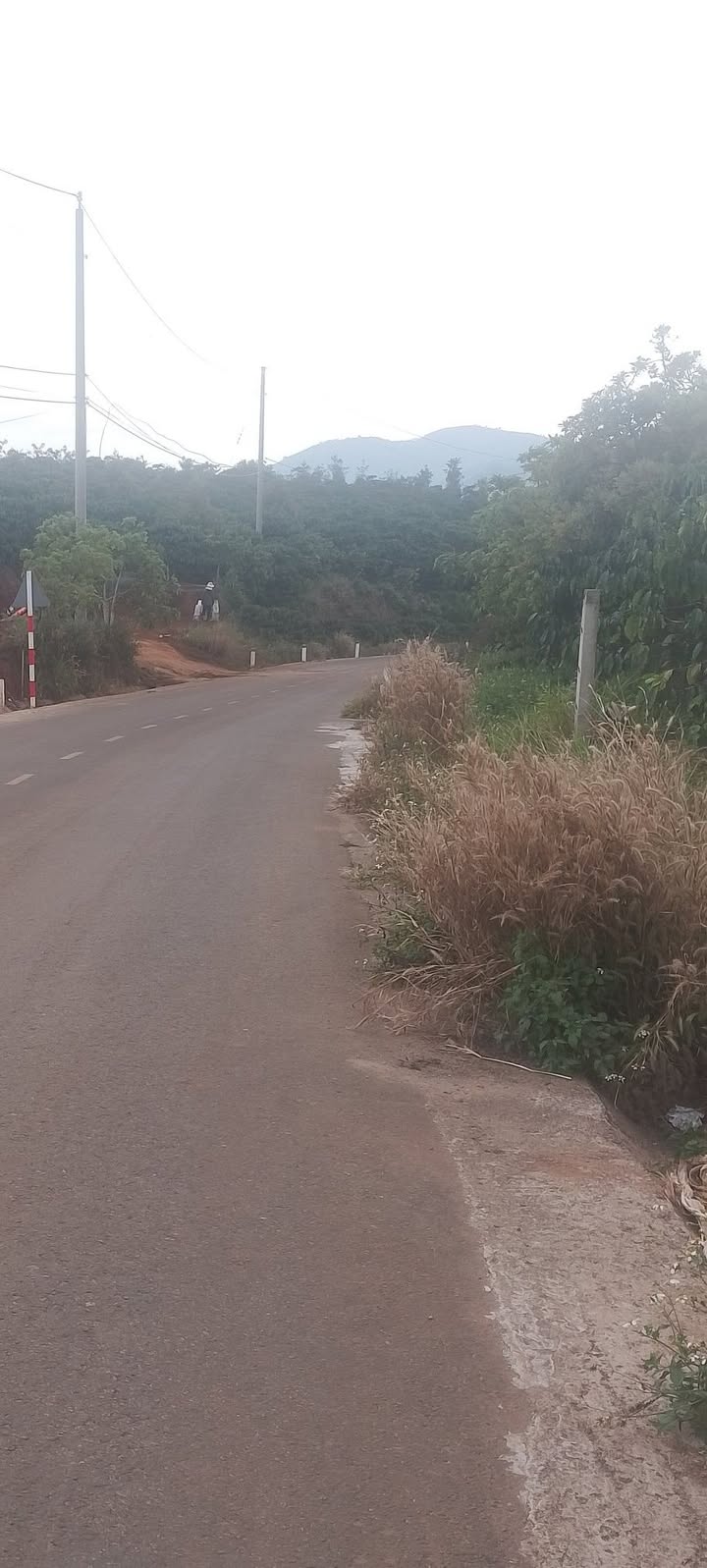 Đất thổ cư 3000m² tại xã Tân Lâm, huyện Di Linh - Giá 2.5 tỷ, thương lượng