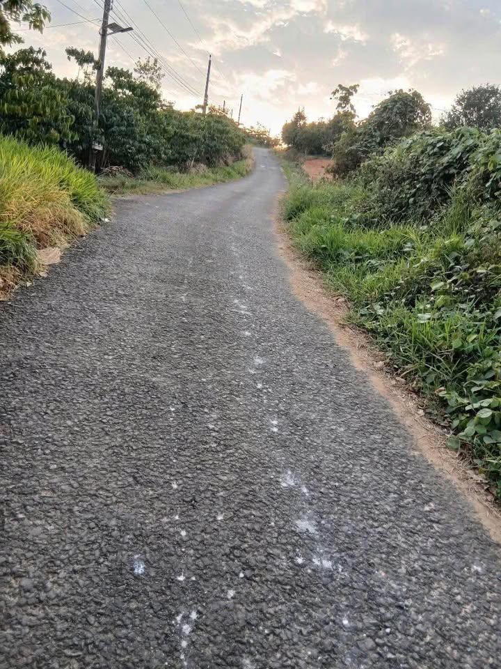 Đất nền thổ cư Xã Lộc Đức, Huyện Bảo Lâm 8280m² giá 1.5 tỷ - Cơ hội đầu tư lý tưởng!