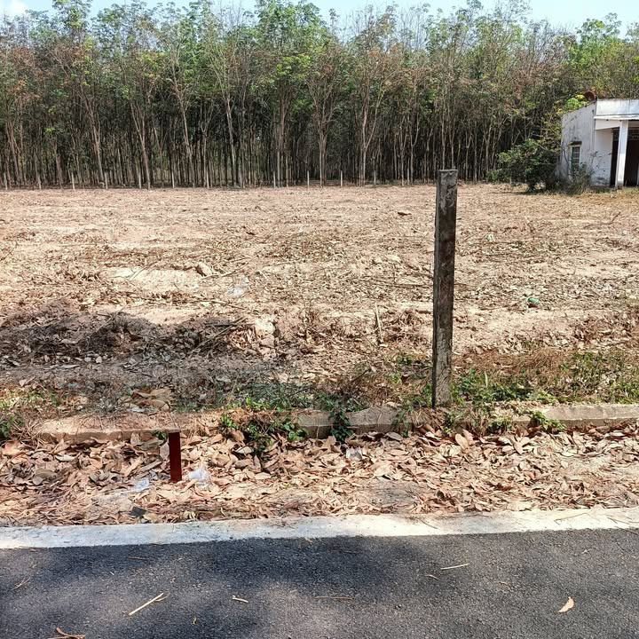 Đất nền Chánh Phú Hòa 1120m² giá chỉ 3 tỷ - Cơ hội đầu tư hiếm có!