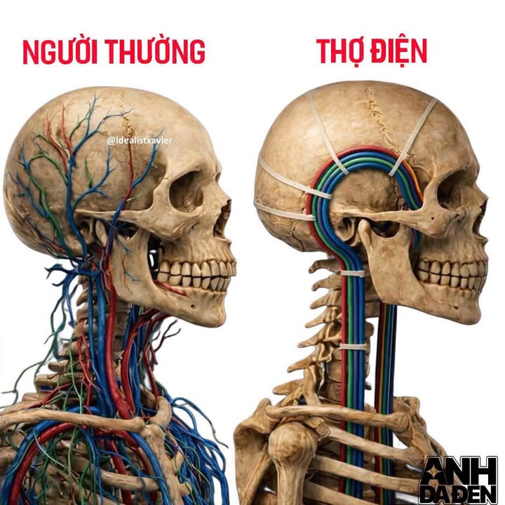 Nhà riêng Phường Bình Phú 48m² giá 6.5 tỷ - Diện tích lý tưởng, nhà mới xây!