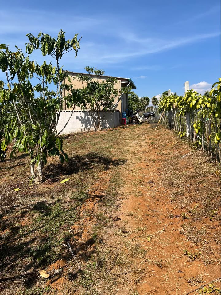 Đất nền 1ha43 tại Phường Lộc Phát - Giá 900 triệu - Bán gấp chính chủ!