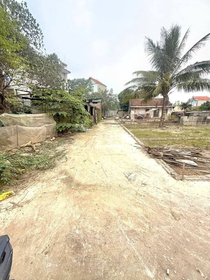 Đất nền Thị trấn Bắc Lý, Huyện Hiệp Hòa, 105m² - Đầu tư sinh lời ngay!