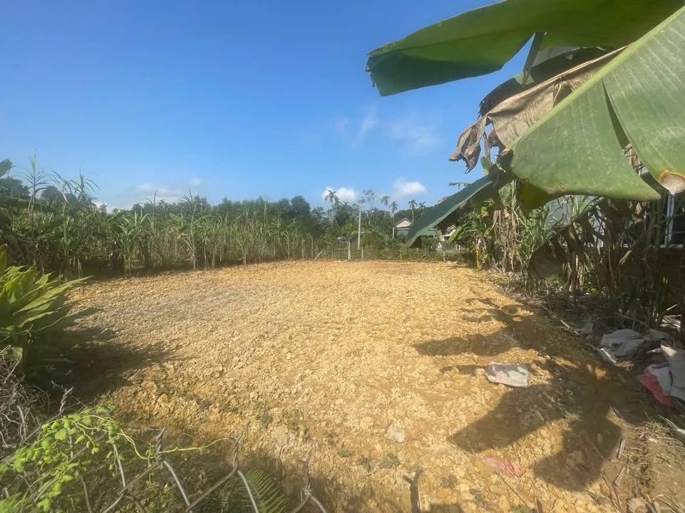 Lô đất 303,2m² xã Đức Thành, huyện Vũ Quang - Đầu tư sinh lời ngay!