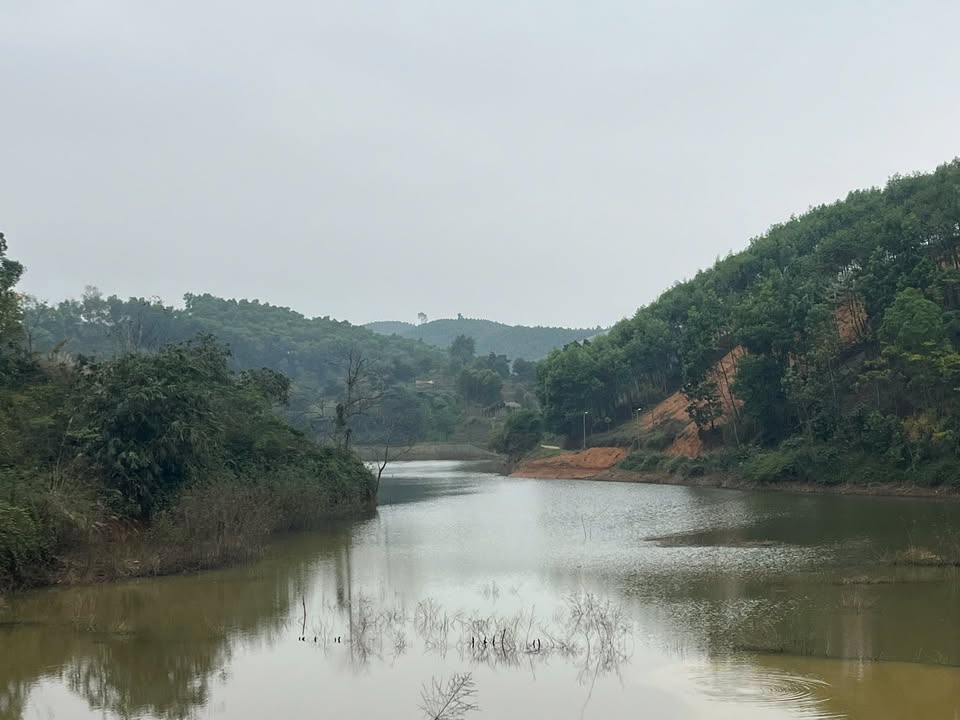 Farm gần Hồ Thác Bà, Yên Bái 1,6ha giá 2 tỷ - Lợi thế vị trí đắc địa!