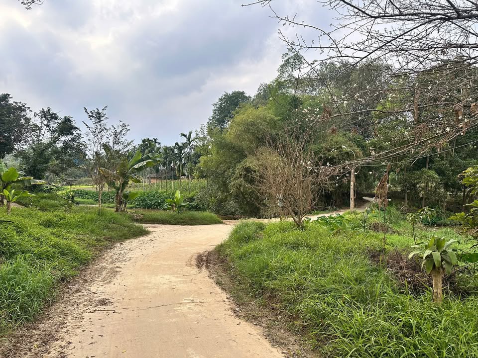 Đất nền 800m² tại Phường Nam Cường, Yên Bái - Giá chỉ 700 triệu