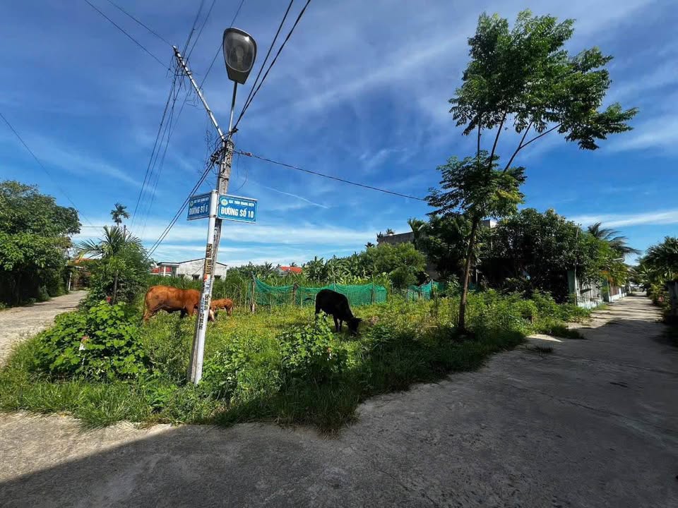 Đất nền 2 mặt tiền tại Điện Hòa, 150m² giá 1 tỷ - Đầu tư sinh lời ngay!