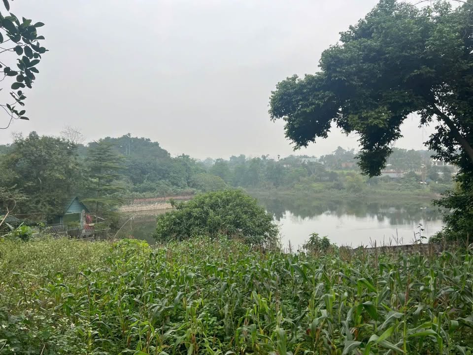 Lô đất nghỉ dưỡng Cư Yên, Lương Sơn 1.790m² - Đầu tư giá trị bền vững!