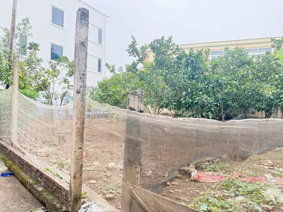 Đất Liên Mạc Bắc Từ Liêm 50m² giá 5.35 tỷ - Sổ đỏ chính chủ, ô tô đỗ cửa!