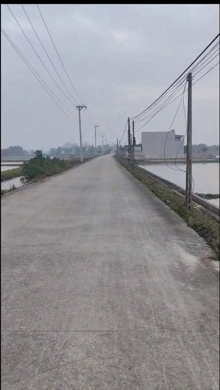 Đất nền chính chủ tại Sơn Thành, Ninh Bình - 180m² chỉ 800 triệu - Cơ hội vàng đầu tư!