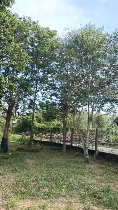 Đất nền Đức Phổ Quảng Ngãi 132m² giá thỏa thuận - Sổ hồng riêng, pháp lý rõ ràng!