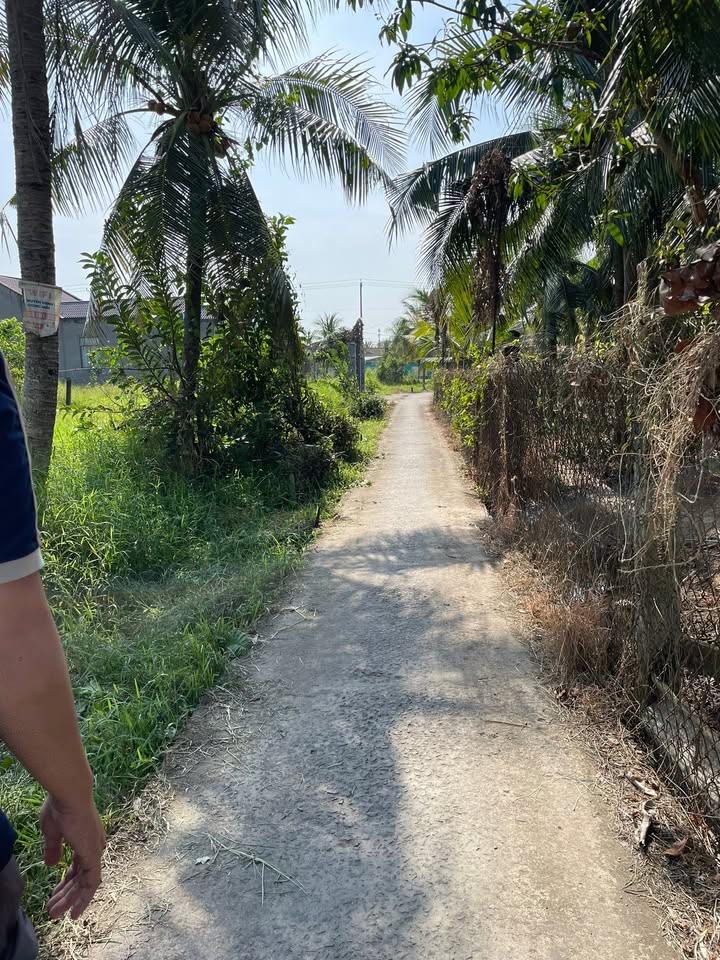 Đất thổ cư 123,2m² tại phường Bến Tre - Giá 550 triệu, thương lượng nhẹ!