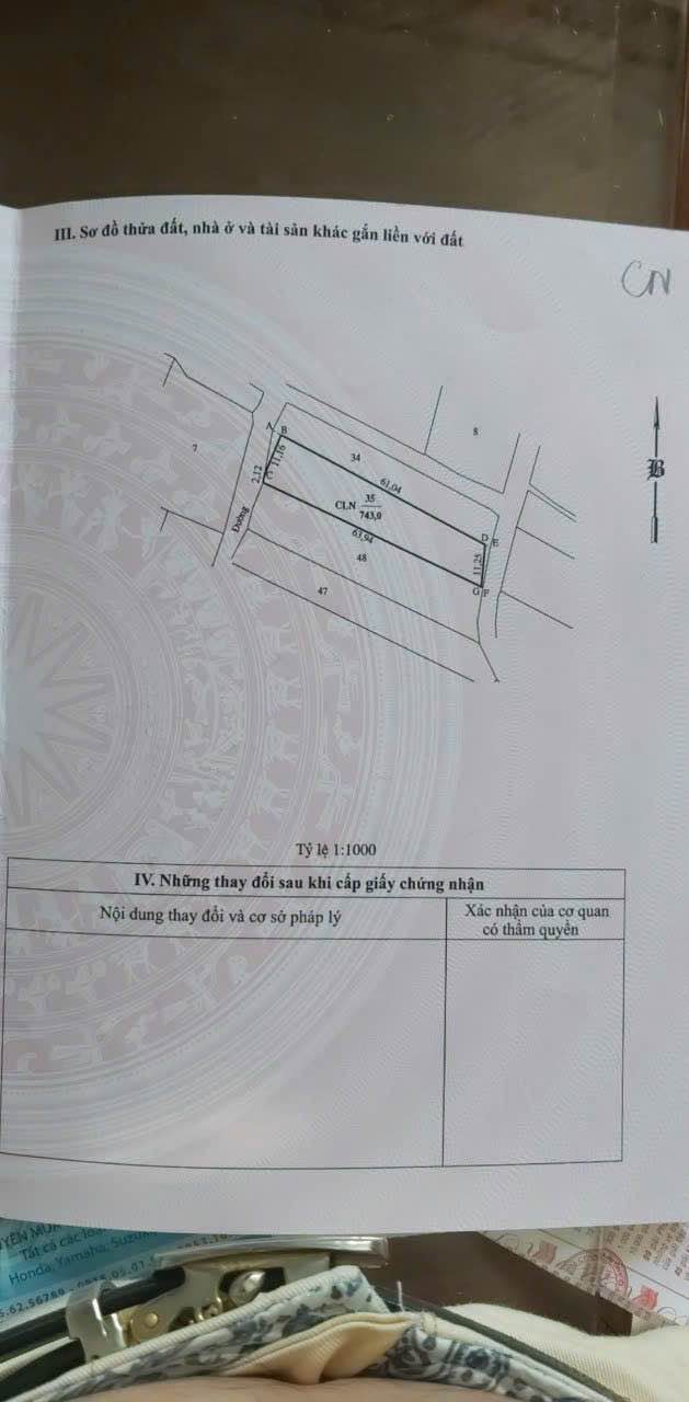 Đất cây lâu năm Phường Đô Vinh 743m² giá 1.19 tỷ - Đầu tư sinh lời ngay!