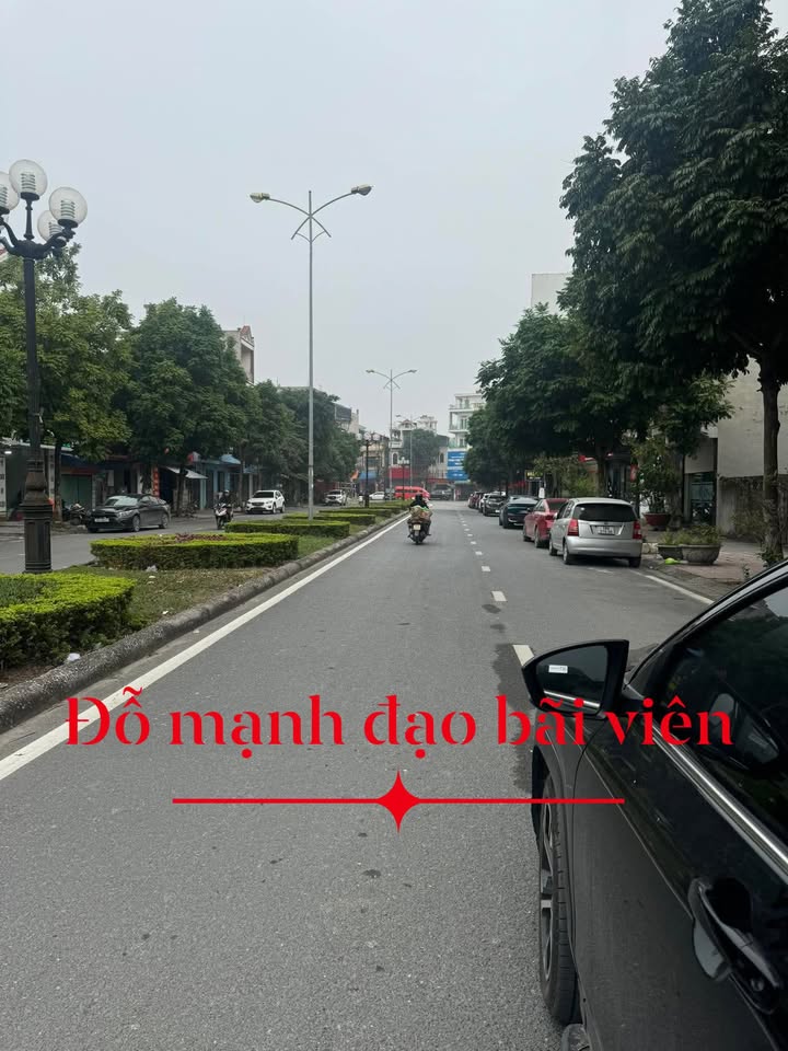 Đất Bãi Viên, Đường Đỗ Mạnh Đạo, 87m² giá 5 tỷ - Cơ hội vàng cho nhà đầu tư!
