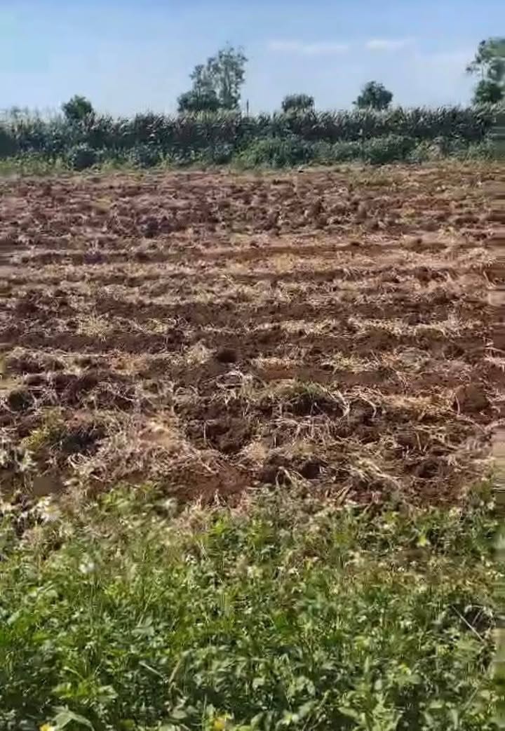 Đất nền đẹp tại Phú Hội, Đức Trọng 1056m² giá 1.55 tỷ - Tiềm năng đầu tư lớn!