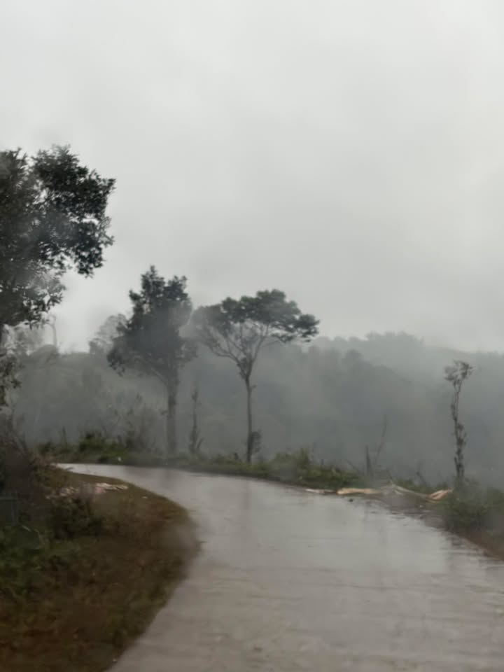 Đất nền 1000m² đường Săn Mây, huyện Kon Plông - Giá chỉ 300 triệu!