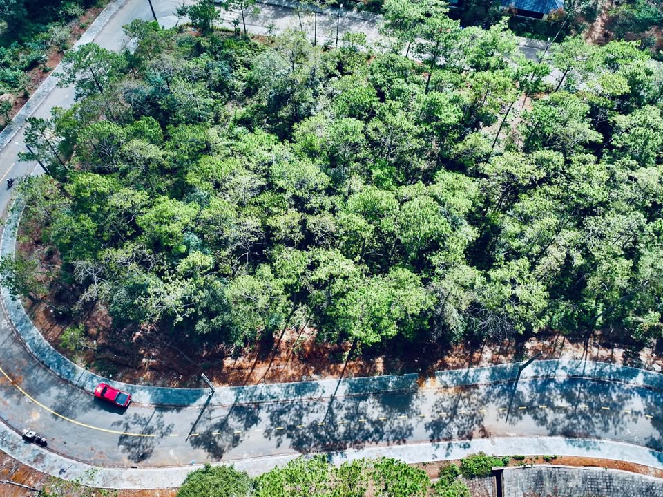 Biệt thự Townhouse Măng Đen 500m² giá thỏa thuận - Địa điểm lý tưởng để an cư!