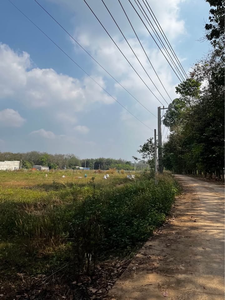 Đất nền chính chủ xã An Linh, huyện Phú Giáo 6400m² giá 490 triệu - Đầu tư sinh lời ngay!