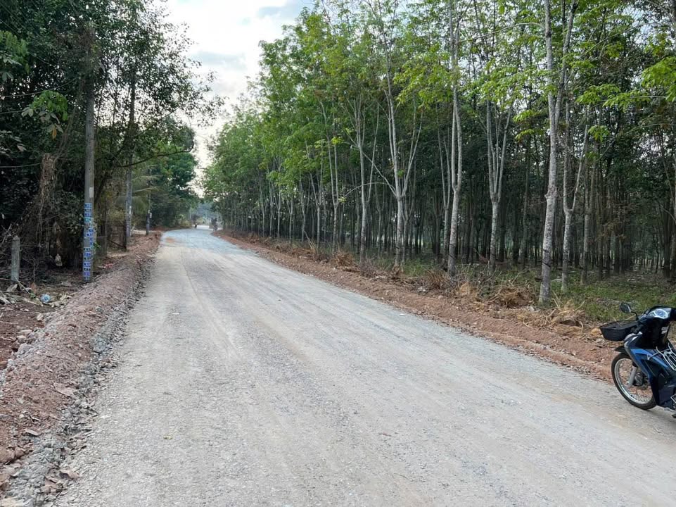 Đất nền Long Nguyên Bàu Bàng 225m² giá thỏa thuận - Đầu tư sinh lời ngay!