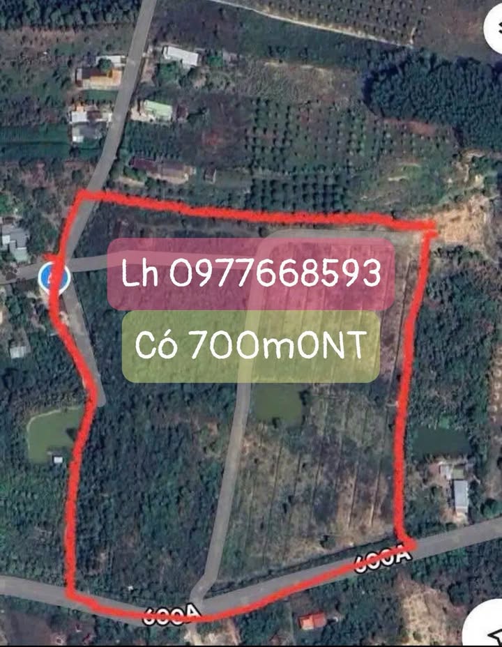 Đất nông nghiệp 4 hecta tại Nam Cát Tiên chỉ 10 tỷ - Cơ hội đầu tư tuyệt vời!