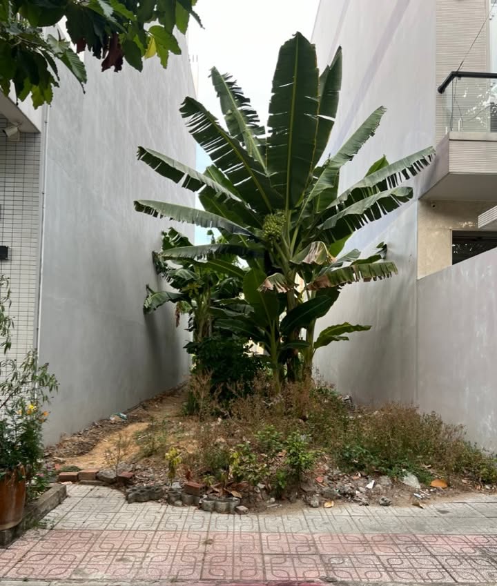 Đất mặt tiền đường Nguyễn Hữu Trí, xã Mỹ Phong, TP Mỹ Tho - 85m² giá 2.9 tỷ - Sổ đỏ chính chủ!