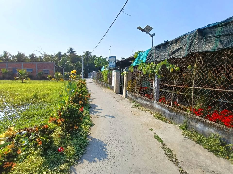 Đất nền Gò Công Tây 434m² giá 600 triệu - Đầu tư lý tưởng!