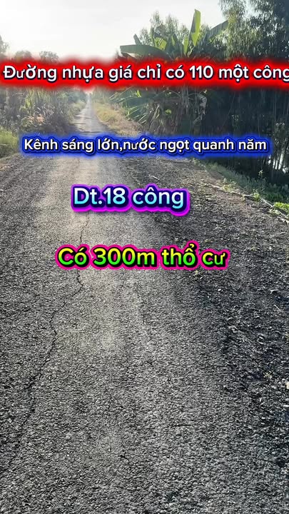 Đất nền xã Thạnh Phước huyện Thạnh Hóa 3000m² giá 330 triệu - Sổ hồng chính chủ!