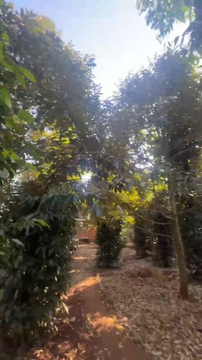 Nhà vườn Buôn Kbu 1.112m² giá 1.95 tỷ - Sẵn sàng vào ở ngay!