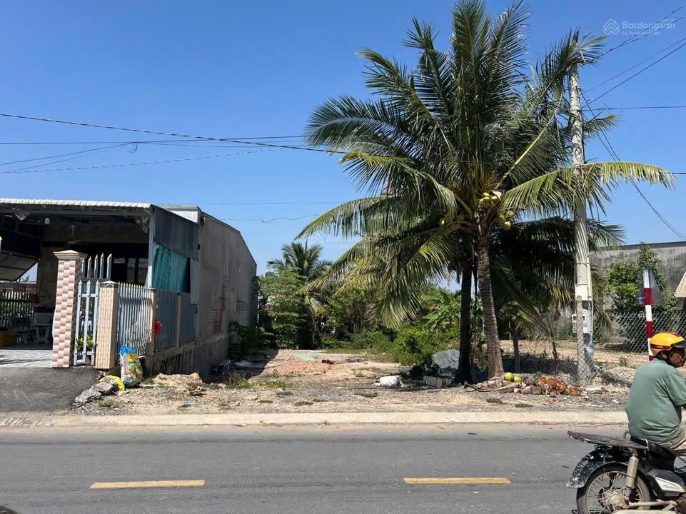 Đất nền chính chủ Tân Hộ Cơ 350m² giá 1.5 tỷ - Cắt lỗ nhanh chóng!