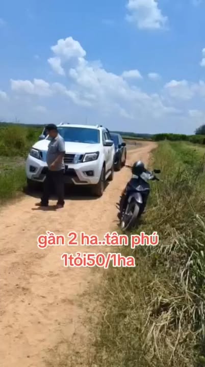 Đất nền 2 ha tại Tân Phú, Tân Châu Tây Ninh chỉ 2.1 tỷ - Đường ô tô vào tận nơi!