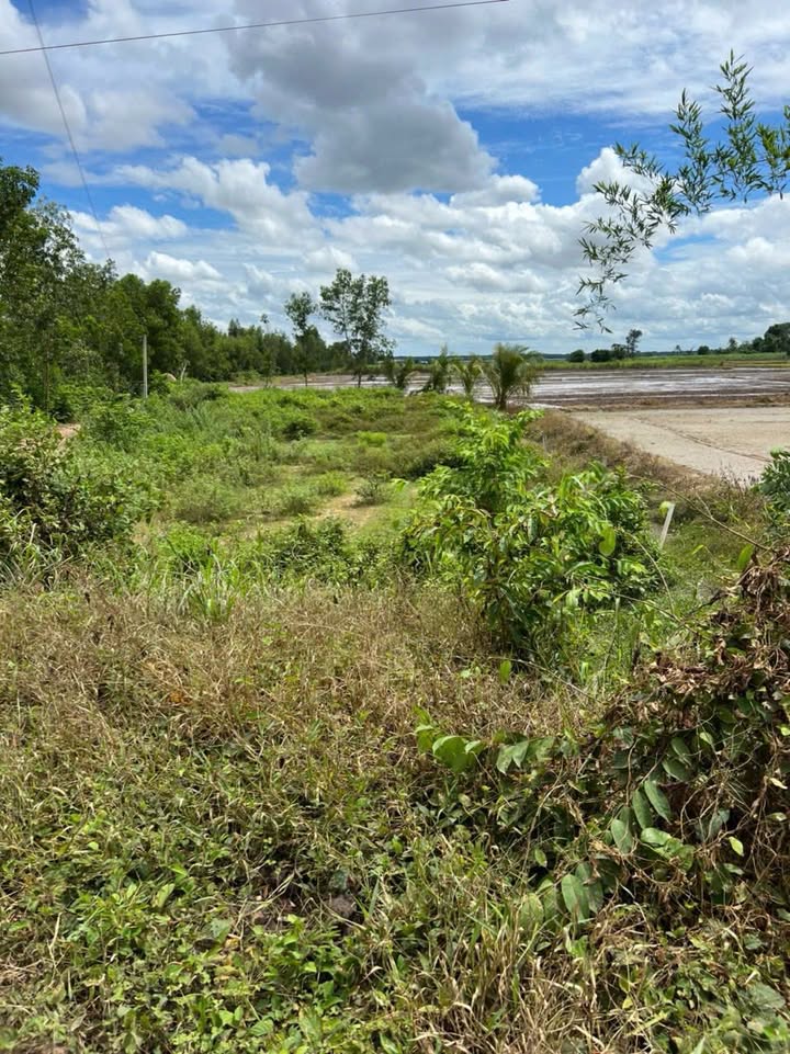 Đất mặt tiền Hương Lộ 3, xã Hảo Đước, 1170m² - Cơ hội đầu tư tuyệt vời!