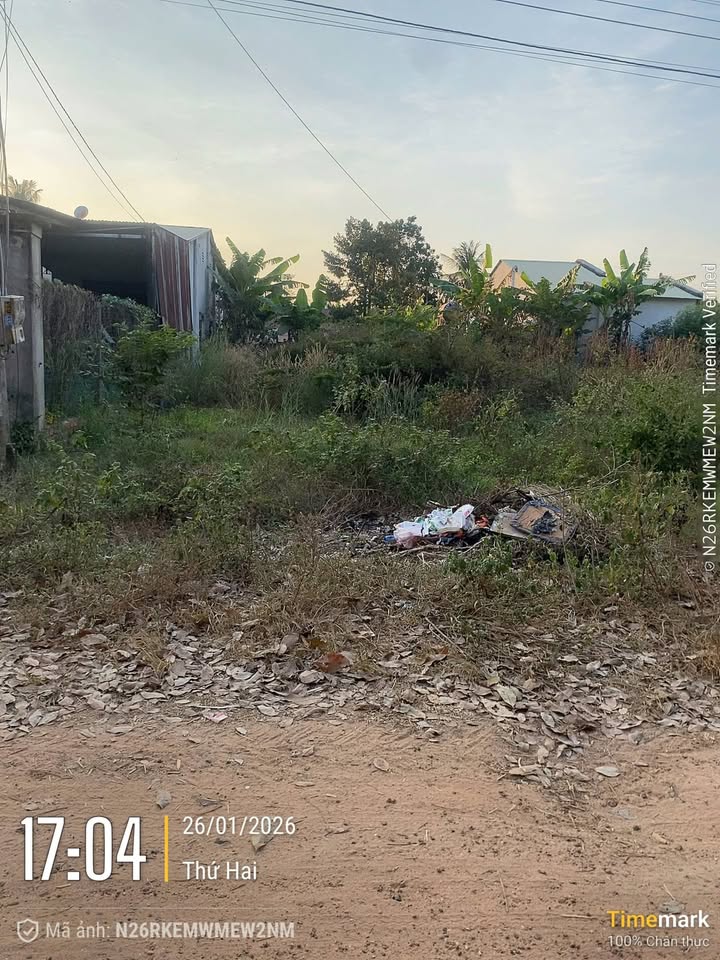 Đất thổ cư 288m² tại xã Tân Châu, Tây Ninh - Giá thỏa thuận - Cơ hội đầu tư tốt!