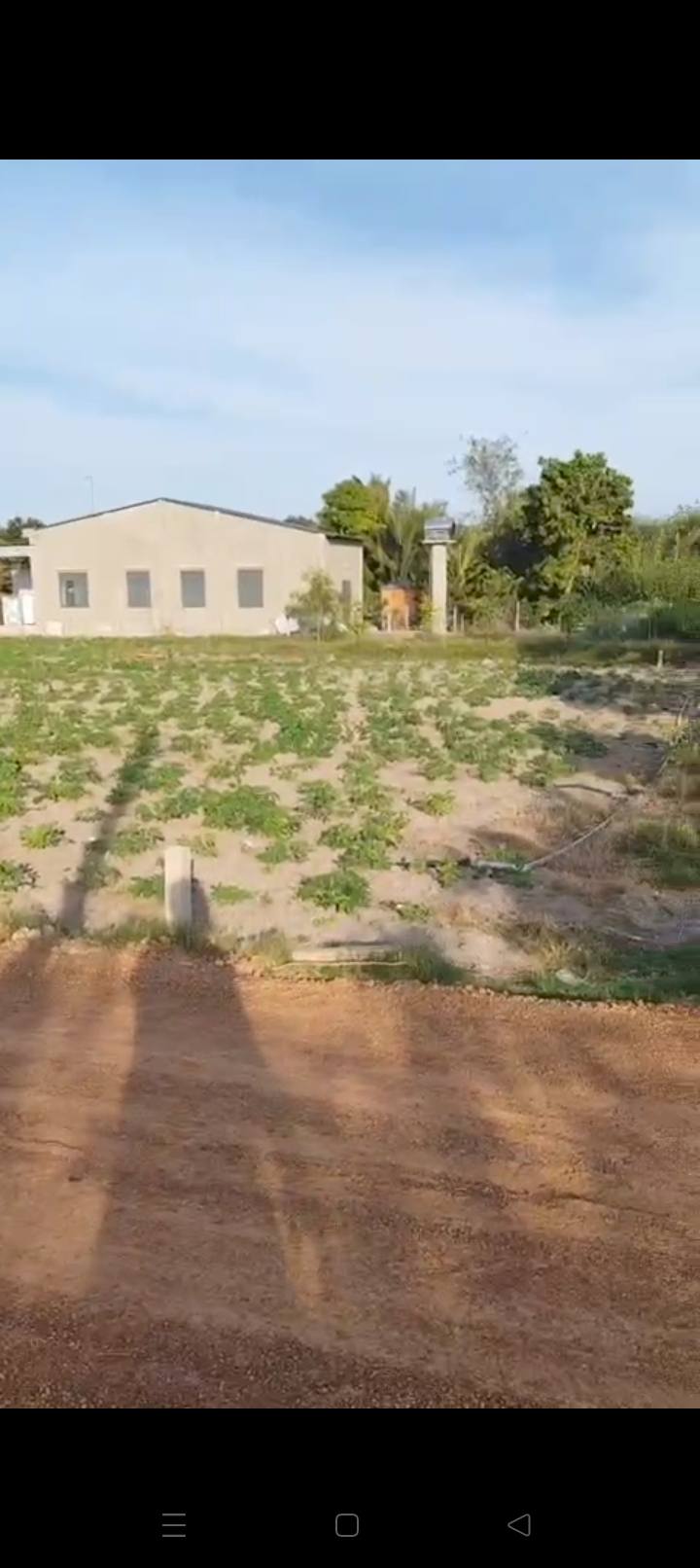 Đất nền Xã Phước Minh, Huyện Dương Minh Châu, 140m² giá 260 triệu - Cơ hội đầu tư tuyệt vời!