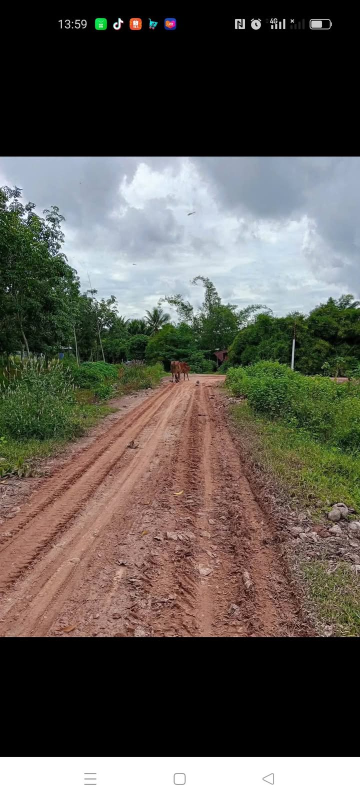 Đất nền Hòa Hiệp, Tân Biên 130m² giá chỉ 100 triệu - Sổ hồng chính chủ!