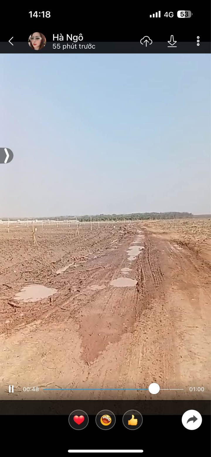 Đất Farm Tân Hội, Tân Châu, Tây Ninh 240.000m² giá 22.32 tỷ - Cơ hội đầu tư tuyệt vời!