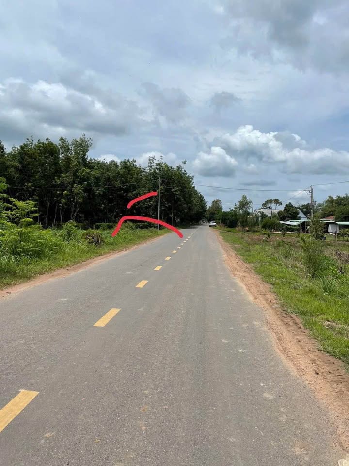 Farm đất cao su Tân Hà, Tân Châu 33 mẫu - Đầu tư sinh lời tuyệt vời!