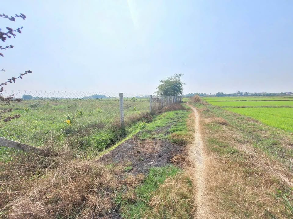 Đất vườn 3800m² tại Phước Thạnh, Gò Dầu - Giá chỉ 1,1 tỷ, thương lượng mạnh!