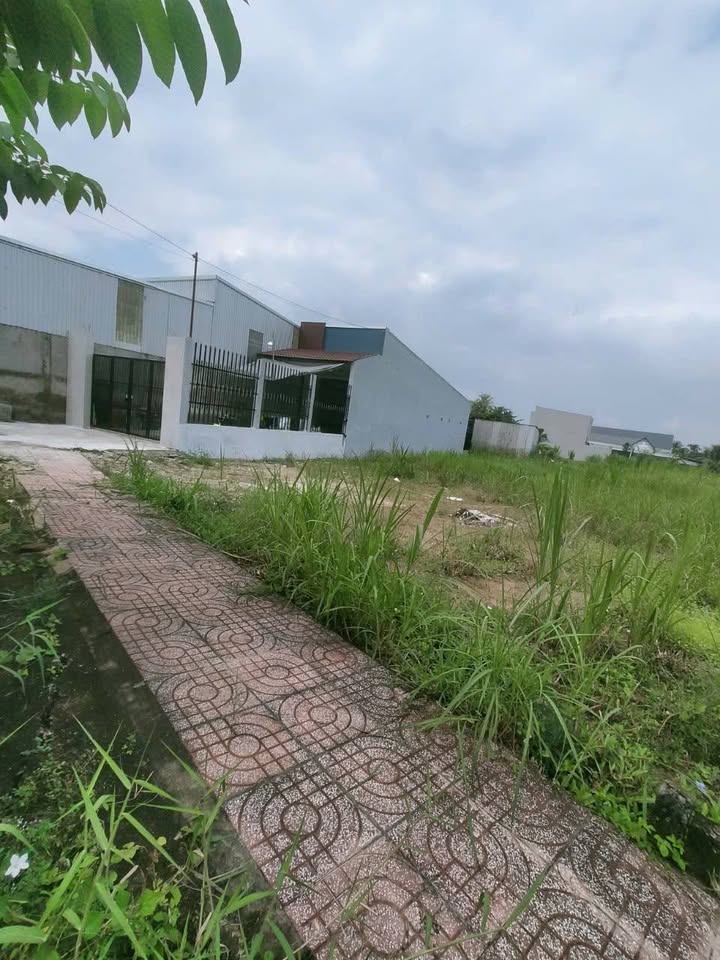 Đất mặt tiền đường Huyện 90C, xã Mỹ Phong, 205m² - Sổ hồng chính chủ!