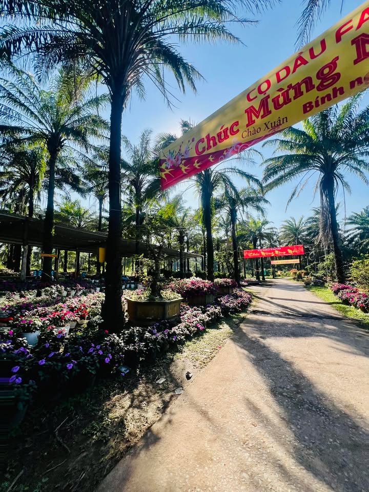 Đất ở Phường 5, TP. Đông Hà 140m² giá 1.1 tỷ - Sổ hồng chính chủ!