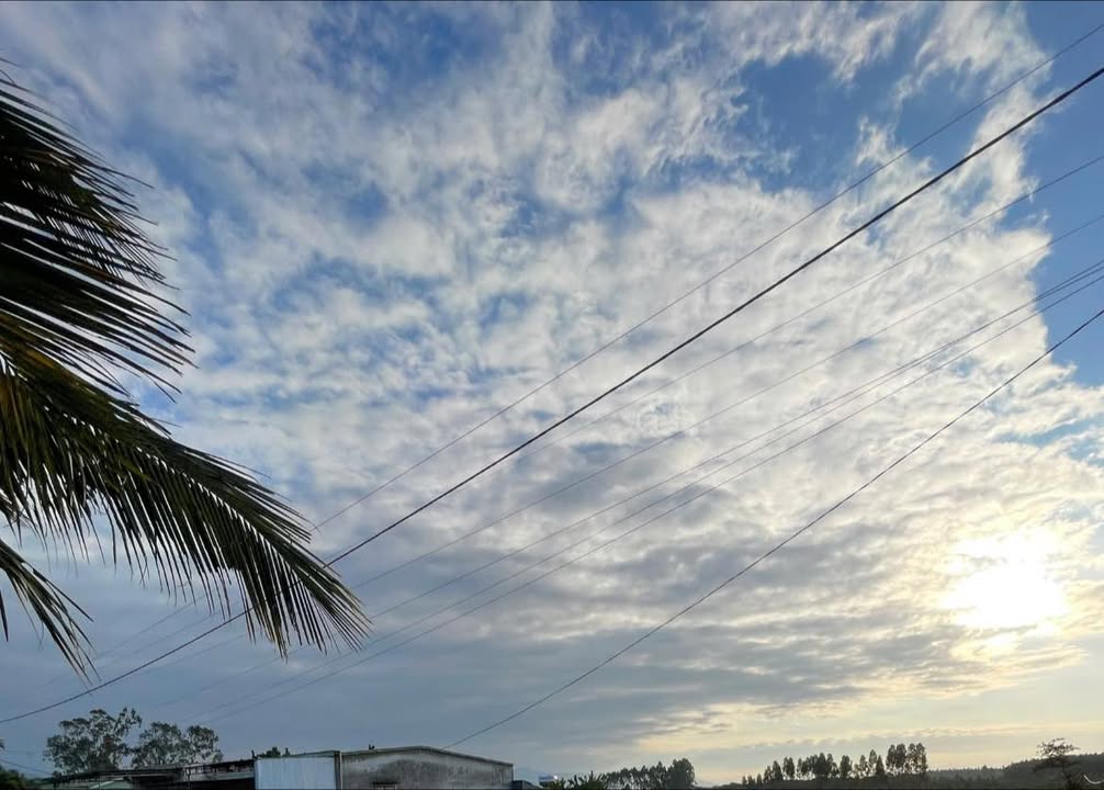 Farm Đắk Lắk 2160m² giá 500 triệu - Đầu tư cây sầu riêng sinh lời!