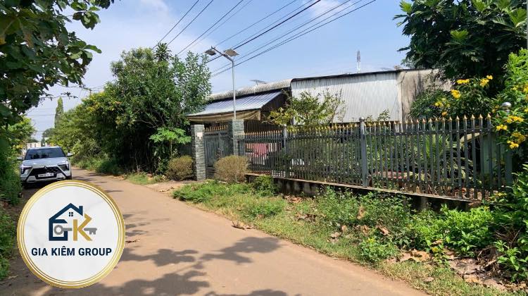 Đất mặt tiền đường nhựa Đức Long 900m² giá 1 tỷ - Cơ hội đầu tư tuyệt vời!